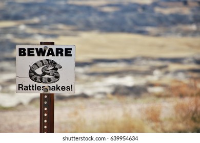 250 Beware Rattlesnakes Images, Stock Photos & Vectors | Shutterstock