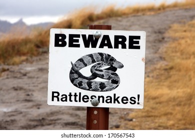 Beware Of Snakes