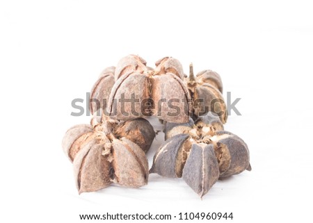 Beyonce is a nut with hard shell, but delicious flavor, it has high nutritional vitamins Omega 3 6 9 high color is very popular as a long-term ash-like herb when it helps to reduce fat. In the blood.