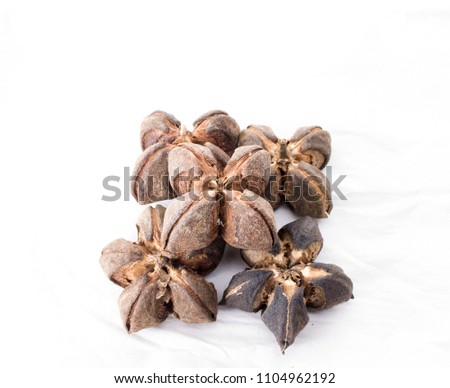 Beyonce is a nut with hard shell, but delicious flavor, it has high nutritional vitamins Omega 3 6 9 high color is very popular as a long-term ash-like herb when it helps to reduce fat. In the blood.
