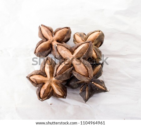 Beyonce is a nut with hard shell, but delicious flavor, it has high nutritional vitamins Omega 3 6 9 high color is very popular as a long-term ash-like herb when it helps to reduce fat. In the blood.
