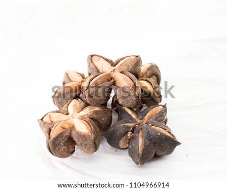 Beyonce is a nut with hard shell, but delicious flavor, it has high nutritional vitamins Omega 3 6 9 high color is very popular as a long-term ash-like herb when it helps to reduce fat. In the blood.