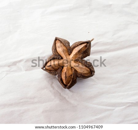 Beyonce is a nut with hard shell, but delicious flavor, it has high nutritional vitamins Omega 3 6 9 high color is very popular as a long-term ash-like herb when it helps to reduce fat. In the blood.