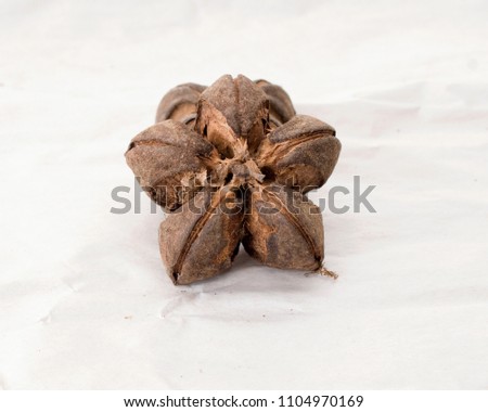 Beyonce is a nut with hard shell, but delicious flavor, it has high nutritional vitamins Omega 3 6 9 high color is very popular as a long-term ash-like herb when it helps to reduce fat. In the blood.