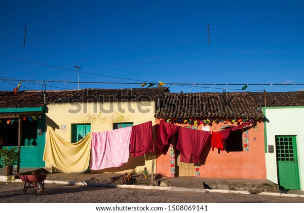 Bezerros Pernambuco fonte: image.shutterstock.com Fonte: image.shutterstock.com
