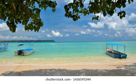 Bharatpur Beach Neil Island Andaman Stock Photo 1436599010 | Shutterstock