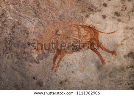 Bhimbetka Rock Shelters, Madhya Pradesh, India. Declared a UNESCO World Heritage site in 2003, the shelters contain ancient rock art from the Upper Paleolithic to Medieval times .