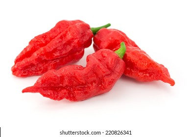 Bhut Jolokia - Chilli Snake