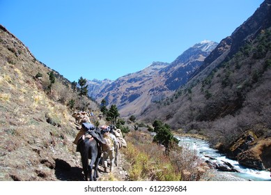 Bhutan Himalayas