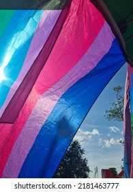 Bi Pride Flag In The Sun