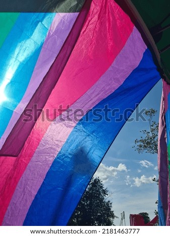 Bi Pride Flag in the sun