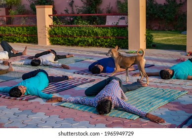 Biakner, Rajasthan, India - May 01, 2021: 
Group Of Kids Practicing Yoga Lesson With Dog, Stretching In Child Exercise, Working Out, Outdoor Close Up, Students Training In School, 