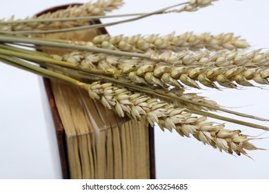 The Bible and ears of wheat as a symbol of spiritual and physical food. The Parable of the Sower. France.  - Shutterstock ID 2063254685
