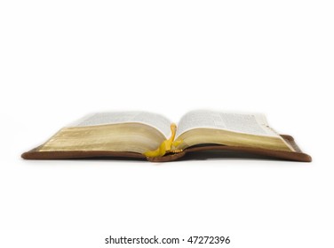 399 Holy bible spine Images, Stock Photos & Vectors | Shutterstock