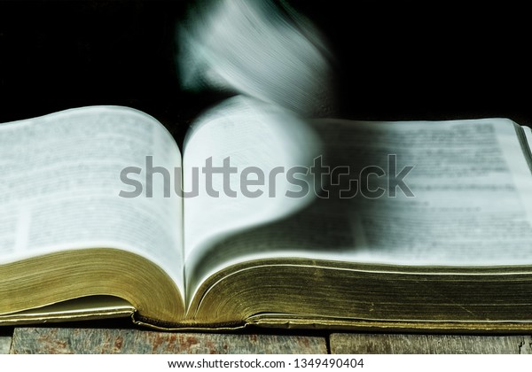 blurry picture of a bible