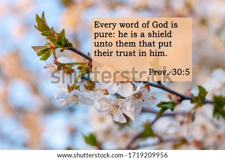 Bible quotes on blurred blooming nature background. Every word of God is pure: he is a shield unto them that put their trust in him. Card text sign for believers. Inspirational verse praying thought.
