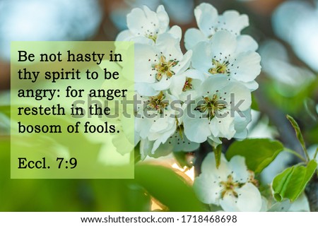 Bible quotes on blurred nature background. Card with text sign for Lord Christ believers.Inspirational praying thought. Be not hasty in thy spirit to be angry: for anger resteth in the bosom of fools.