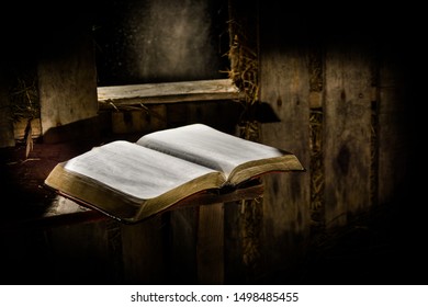bible reading under window light