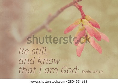 Bible Scripture Verse on Nature Photo; Artistic Blurred Nature Photo with Texture Applied; Be Still and Know that I am God
