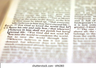 Bible Text - John 3:16