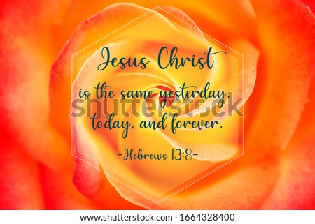 Bible verse saying that Jesus Christ is the same yesterday, today and forever, written on rose background