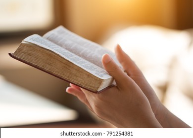 Bible,women Reading From The Holy Bible