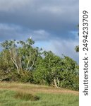 Bicentennial Lakes in Mareeba, Queensland Australia