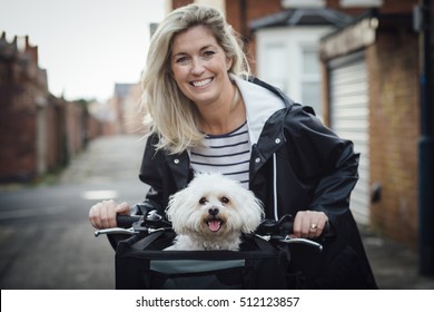 Bichon Frise sitting in a basket on the front of it's owners bike. It is looking at the camera with it's tongue out. The woman is out of focus in the background, smiling at the camera.