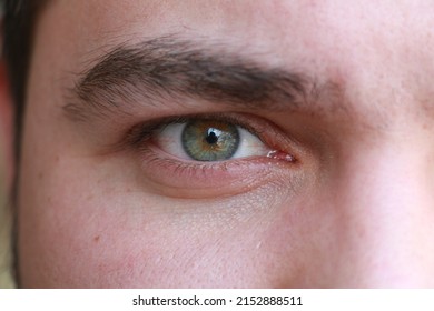 Bicolor Eye Two Color Eyes Closeup Stock Photo 2152888511 | Shutterstock