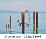 Bicycle attached to a post in the water on Ruston Way in Tacoma, Washington