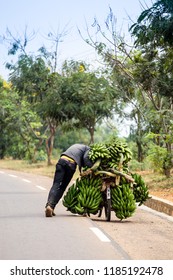 Bicycle banana transportation in Burundi, Africa.