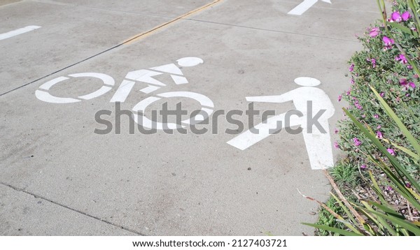 Bicycle or bike lane for biking safety on city\
street in California, USA. Transport infrastructure, marking line\
and icon on asphalt for bikers or cyclists. Track, route or path\
for bicyclists on road