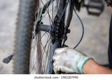 Bicycle Chain Sprockets Impregnated With Slippery Oil By A Mechanic To Reduce Friction.