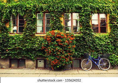The bicycle in Copenhagen.