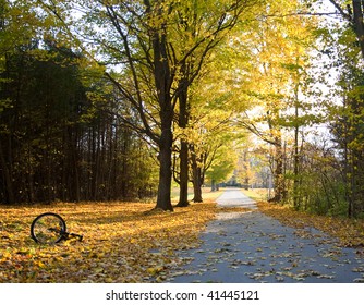 A bicycle at the end of a long way driveway in the fall.