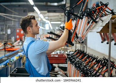 Bicycle Factory, Worker At Bike Assembly Line