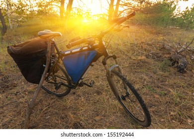 bicycle in a forest