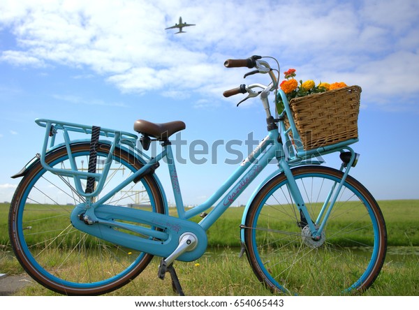 gazelle bike basket