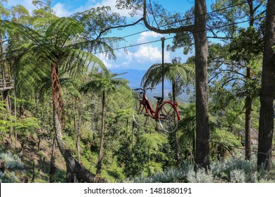 Bicycle Hanging On A Hanging Steel Rope In A Tropical Jungle. Adrenaline Track Cycling Through Trees In A Rainforest On Bali Island. Eco Flyer Bike Zipline Adventure.