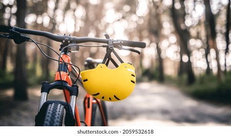 Bicycle and helmet on handlebar on sunny forest background