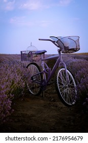 Bicycle In A Lavender Field