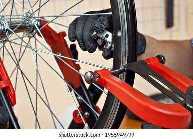 558 Aligned cycle Images, Stock Photos & Vectors | Shutterstock