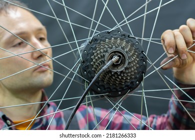 A bicycle mechanic holds a wheel from a bicycle. Bicycle repair. Wheel, spokes and cassette from a mountain bike on a black background. - Powered by Shutterstock