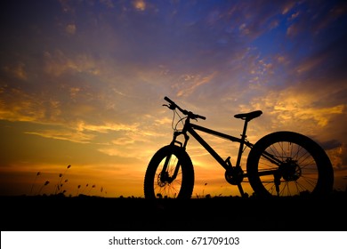 backlight of cycle