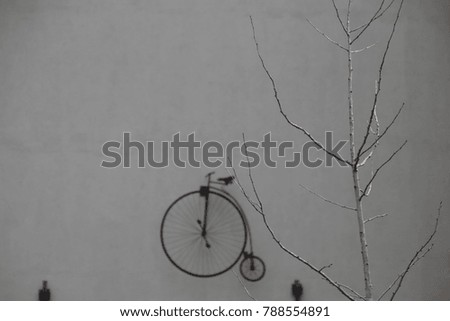 Similar – bike Autumn Bicycle