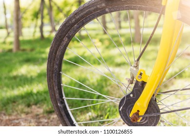 A bicycle in the park
