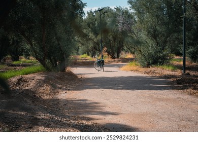 A bicycle is parked on a dirt path in a grove of olive trees. The path is shaded by the trees and the air is peaceful. - Powered by Shutterstock