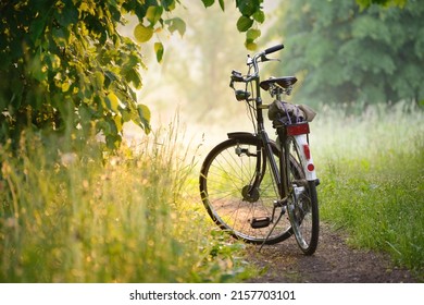Bicycle parked on a forest road at sunrise. Soft sunlight, sunbeams, fog. Idyllic rural scene. Leisure activity, recreation. ecotourism, hiking. sport, cycling, healthy lifestyle, exploring concepts