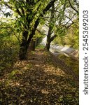 Bicycle path along the canal Villoresi at Monza, Brianza, Lombardy, Italy, in November