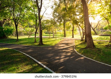 Bicycle Path In Parks